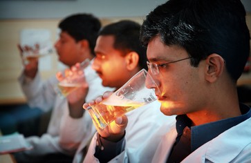 Статья: В Индии изобрели целебное пиво