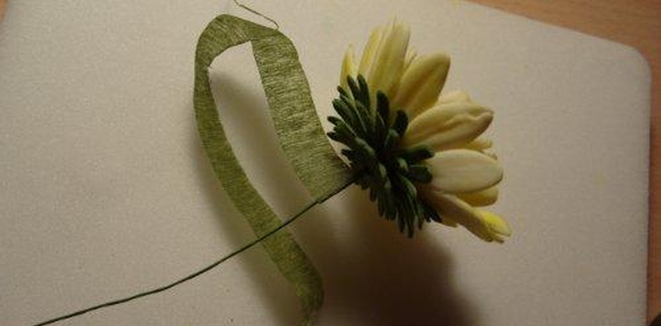 Шаг №20 МК Хризантемы от Учредительница