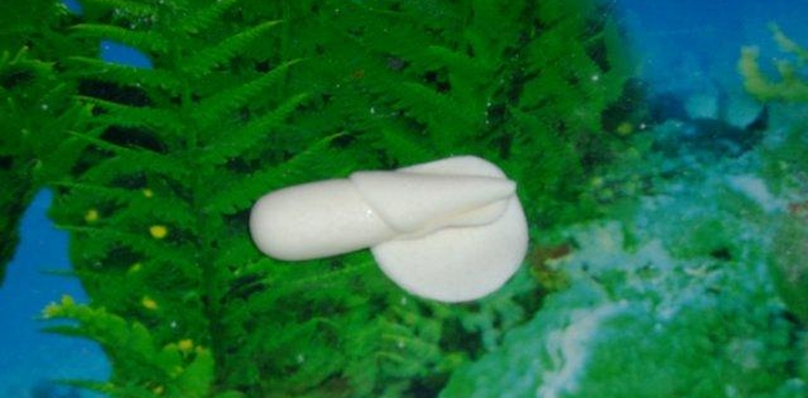 Шаг №7 МК Корзинка с розочками от Annula