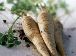 Статья: Каждый пятый британец думает, что пастернак растет на деревьях