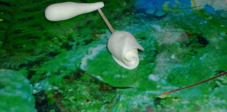 Шаг №10 МК Корзинка с розочками от Annula