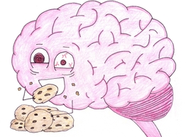 Статья: Питательная зарядка для мозгов