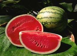 Арбуз опасен для здоровья?