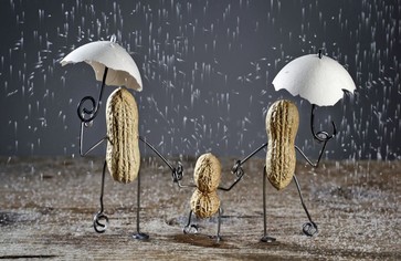 «Оживший» арахис