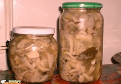 Рецепт: Вешенка маринованная экспериментальная