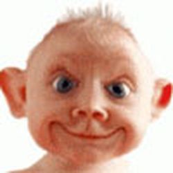 Аватар пользователя solomonkats