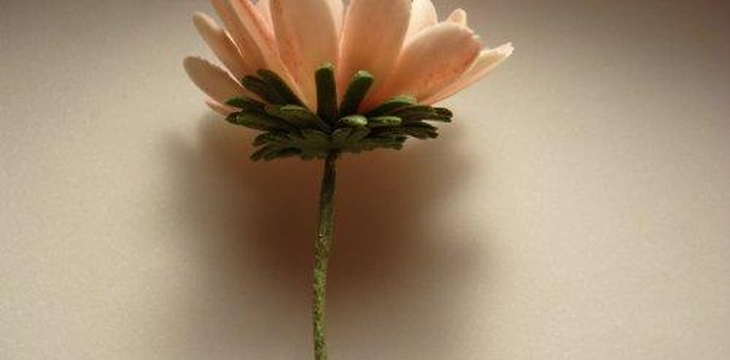 Шаг №21 МК Хризантемы от Учредительница