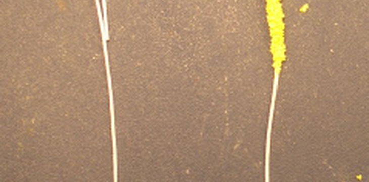 Шаг №1 МК Тюльпан 