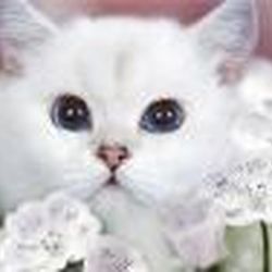 Аватар пользователя Сказительница