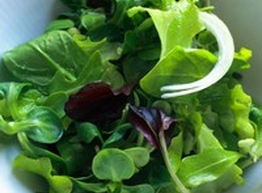 Статья: Кулинарные особенности зеленых салатов