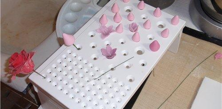 Шаг №11 МК Фуксия от TaninTortik