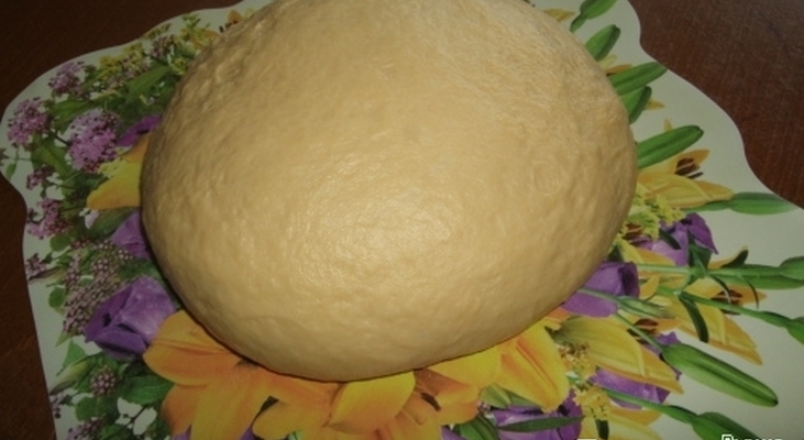 Тесто дрожжевое (без расстойки)