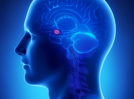 Статья: Влияние питания на психическое здоровье человека