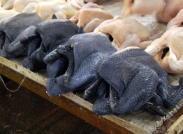 Статья: Темная сторона кулинарии - Черная курица!