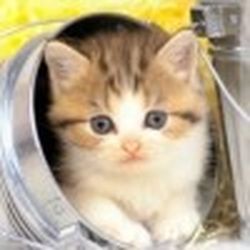 Аватар пользователя Irinax