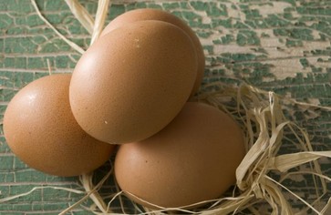 Чем заменить яйца в постном меню?