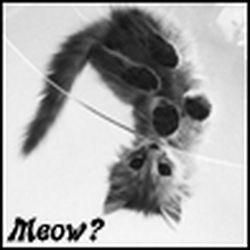 Аватар пользователя KbIsska