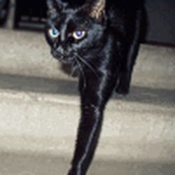 Аватар пользователя Olenka