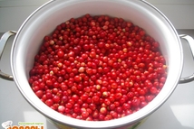 Шаг 1: Отобрать крепкую, спелую бруснику.