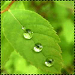 Аватар пользователя Angelika69