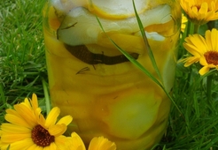 Кабачки, маринованные кольцами