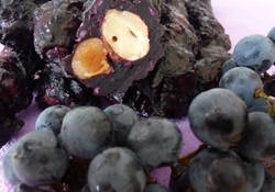 Рецепт: Чурчхела