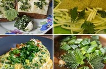 Готовим вкуснятину из.. крапивы!