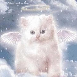 Аватар пользователя Танюсик