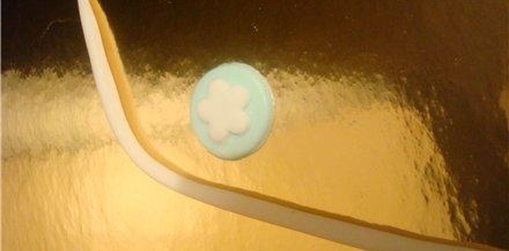 Шаг №7 Смешарики. Домик Нюши от Ksenechka