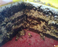 Рецепт: Прянично–шоколадный торт