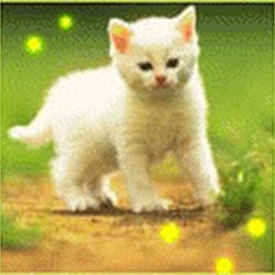 Аватар пользователя Krola