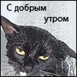 Аватар пользователя stas6669