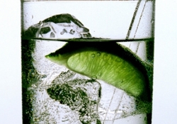 Рецепт: Джин с тоником