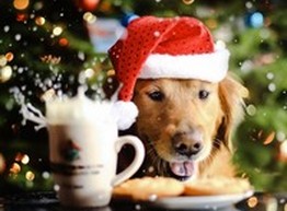 Идеальное меню на новогодний стол 2018