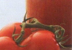 Рецепт: Классический томатный соус