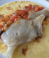 Тако с вешенкой