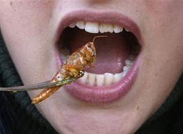 Статья: 10 самых необычных продуктов мира