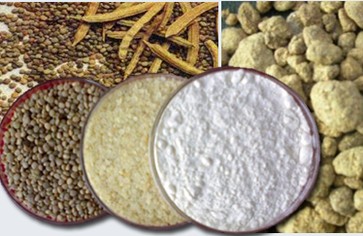 Статья: Не вредна ли гуаровая камедь?