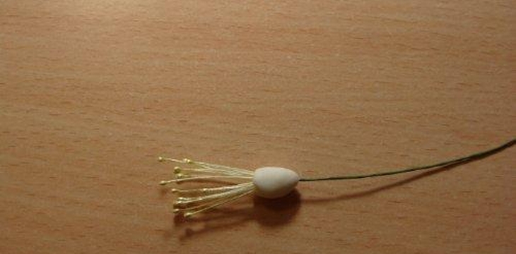 Шаг №5 МК Аквилегия от Учредительница