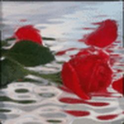 Аватар пользователя vatrushka1