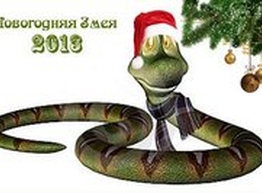 Статья: Как встречать Новый 2013 год