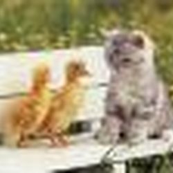 Аватар пользователя larix82