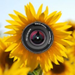 Аватар пользователя Багира