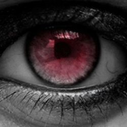 Аватар пользователя fly