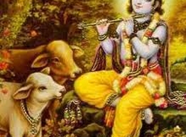 Статья: Самые распространенные мифы о вегетарианстве