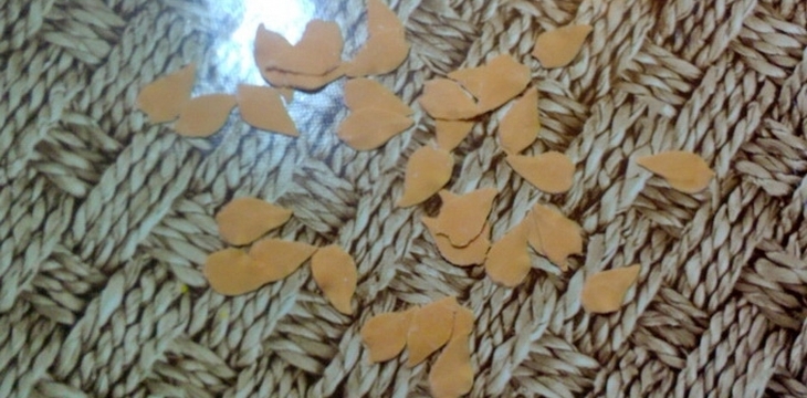 Шаг №31 МК Торт Фея на подсолнухе от alizka