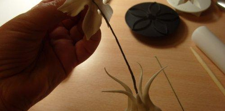 Шаг №23 МК Аквилегия от Учредительница