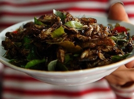 Статья: Жареные осы – отличная закуска к пиву