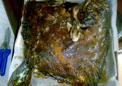 Рецепт: Камбала запечённая 