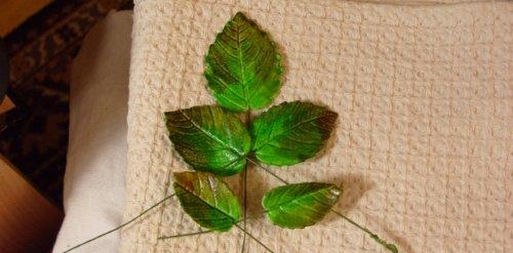 Шаг №2 МК Листья розы на проволоке от Учредительница